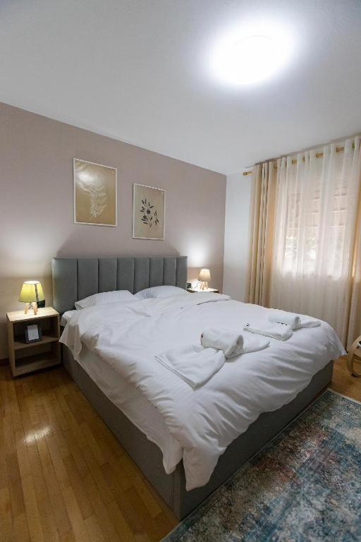 Light-2 Lovely Apartment In Tirana Exterior photo